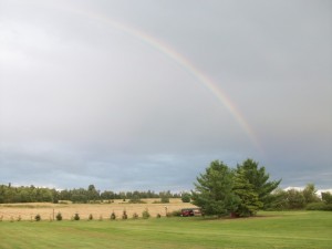 and the view from our yard to the field...